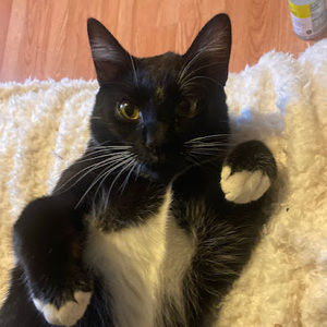 Meet your Posher, Brooke